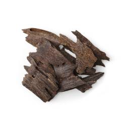 تراد المجالس